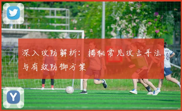 深入攻防解析:揭秘常见攻击手法与有效防御方案