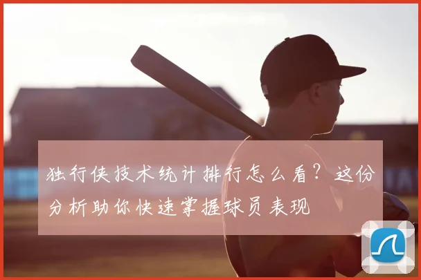 独行侠技术统计排行怎么看？这份分析助你快速掌握球员表现