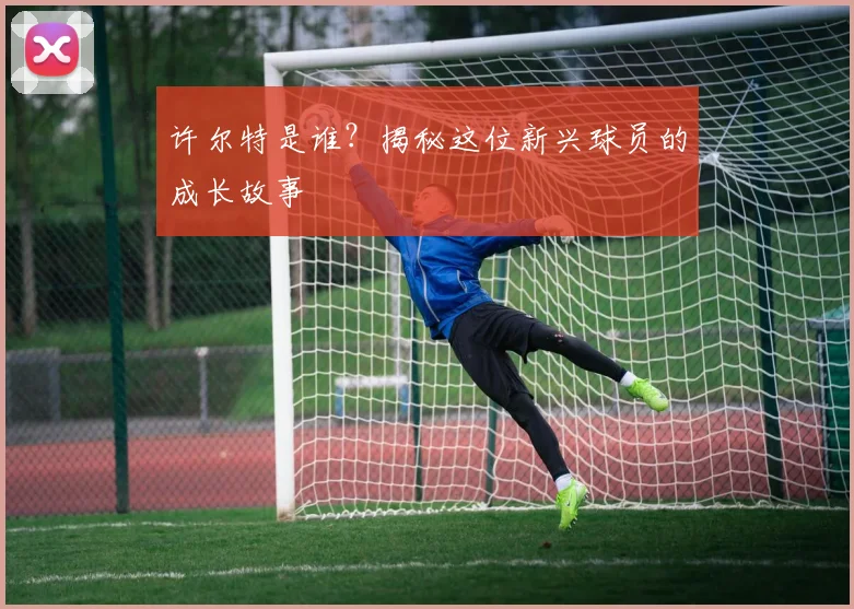 许尔特是谁？揭秘这位新兴球员的成长故事